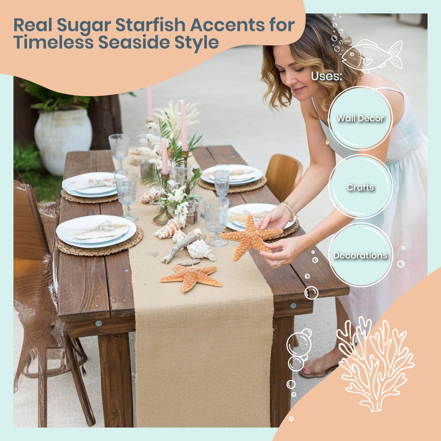 Real Starfish - 2 Large Brown Sugar Starfish (4-6in) - Starfish for Crafts - Star Fish Shells Decorations - Starfish Decor - Sea Star - Starfish Decorations - Starfish Shells