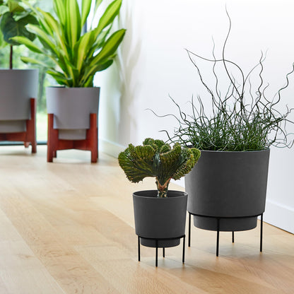 Bloem Hopson 10" Plastic Cachepot with Metal Stand - Decorative Indoor Planter with Black Metal Stand, Charcoal