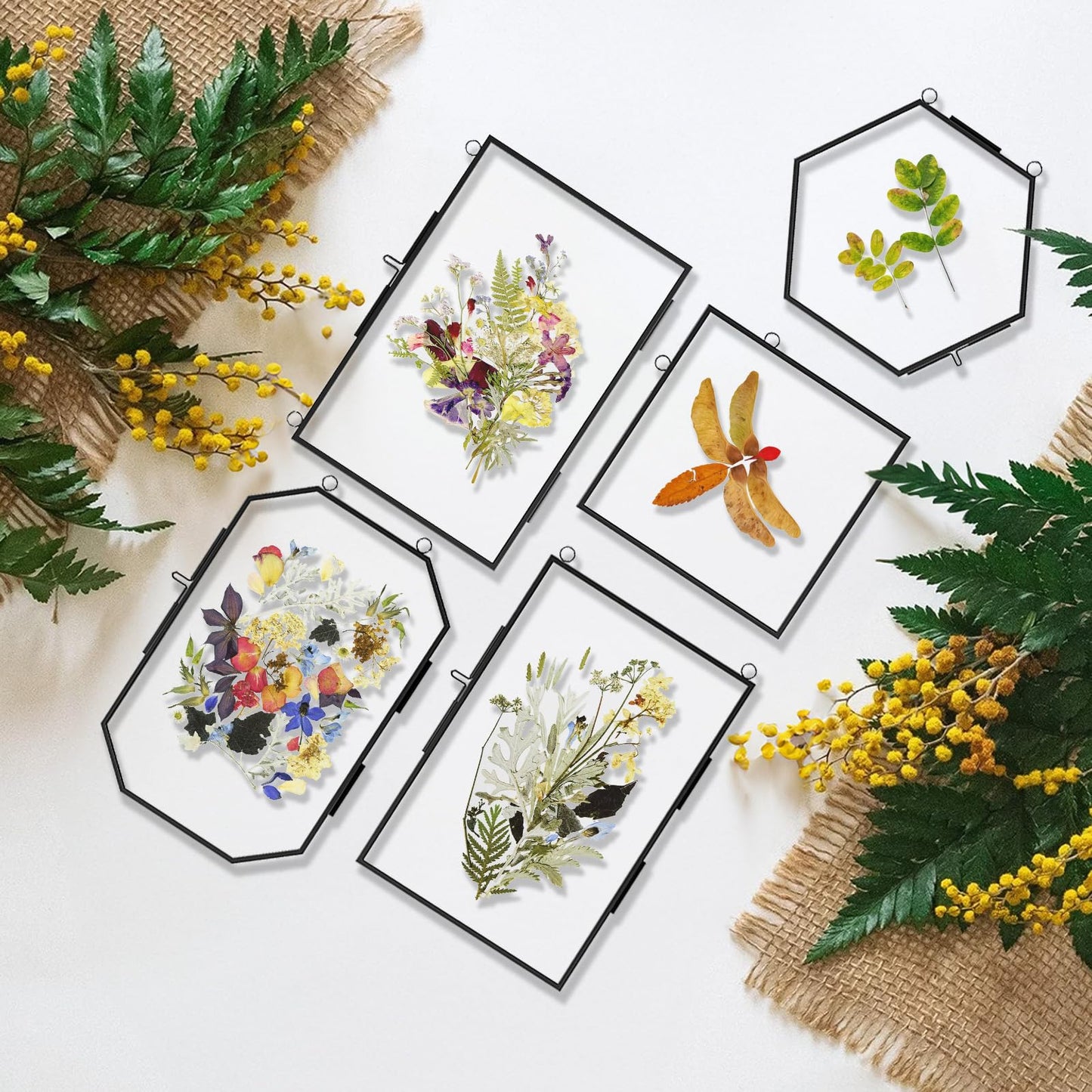 FOCHIER F 5 Pcs Pressed Flower Frames with Tweezers, Wall Hanging Tabletop Display Double Glass Frames with Metal Chain for Pressed Dried Flowers Plants, Horizontal and Vertical Picture Frame, Black