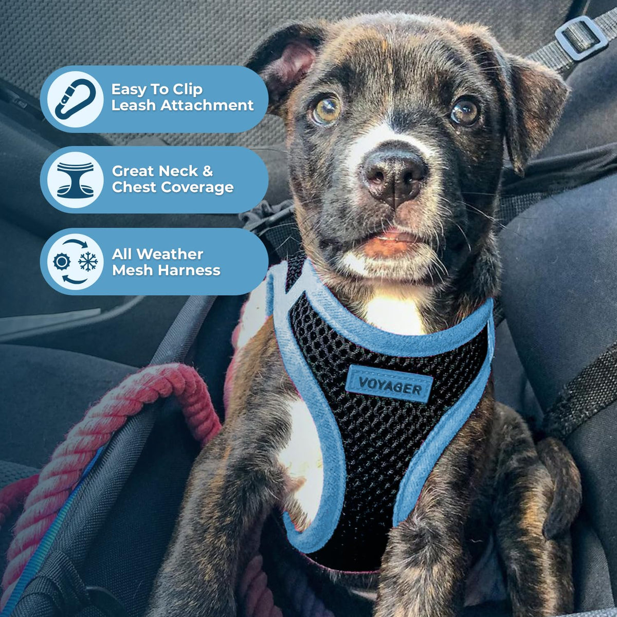 Best Pet Supplies - All Weather Mesh, Reflective, No Pull Harness for Small, Medium Dogs, Cats - Secure with Hook & Loop Fastener, Buckle, Double D-Rings - Black/Blue Trim, M