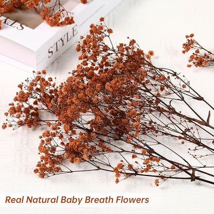 Babys Breath Dried Flowers Bouquet-17'' 1800+ Ivory Dry Flowers, Natural Gypsophila Branches for Wedding, Home Table Vase Decor, DIY Wreath Floral, Fall Thanksgiving Autumn Decoration (Brown, 2oz)
