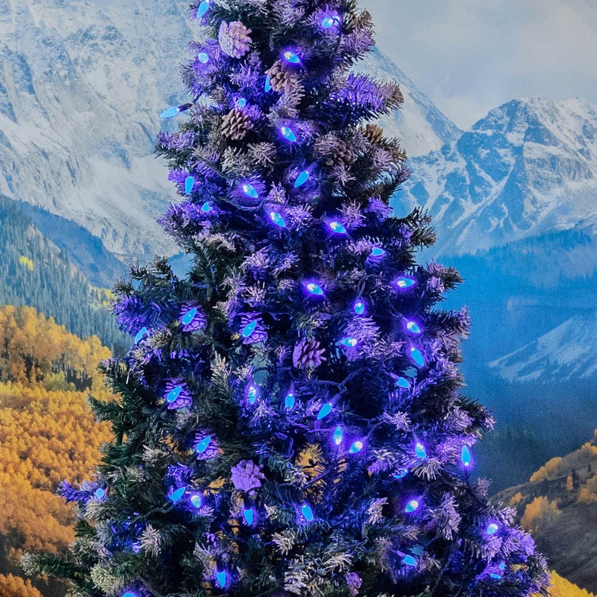 Novelty Lights 24FT 70 LED C6 LED Christmas String Lights, Commercial Grade LED String Lights for Outdoor Tree Decorations (Blue)