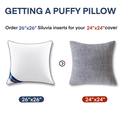 Siluvia 20"x20" Pillow Inserts Set of 2 Decorative Square Square Throw 20 Pillows with 100% Cotton Cover for Sofa, Couch, and Bed - White