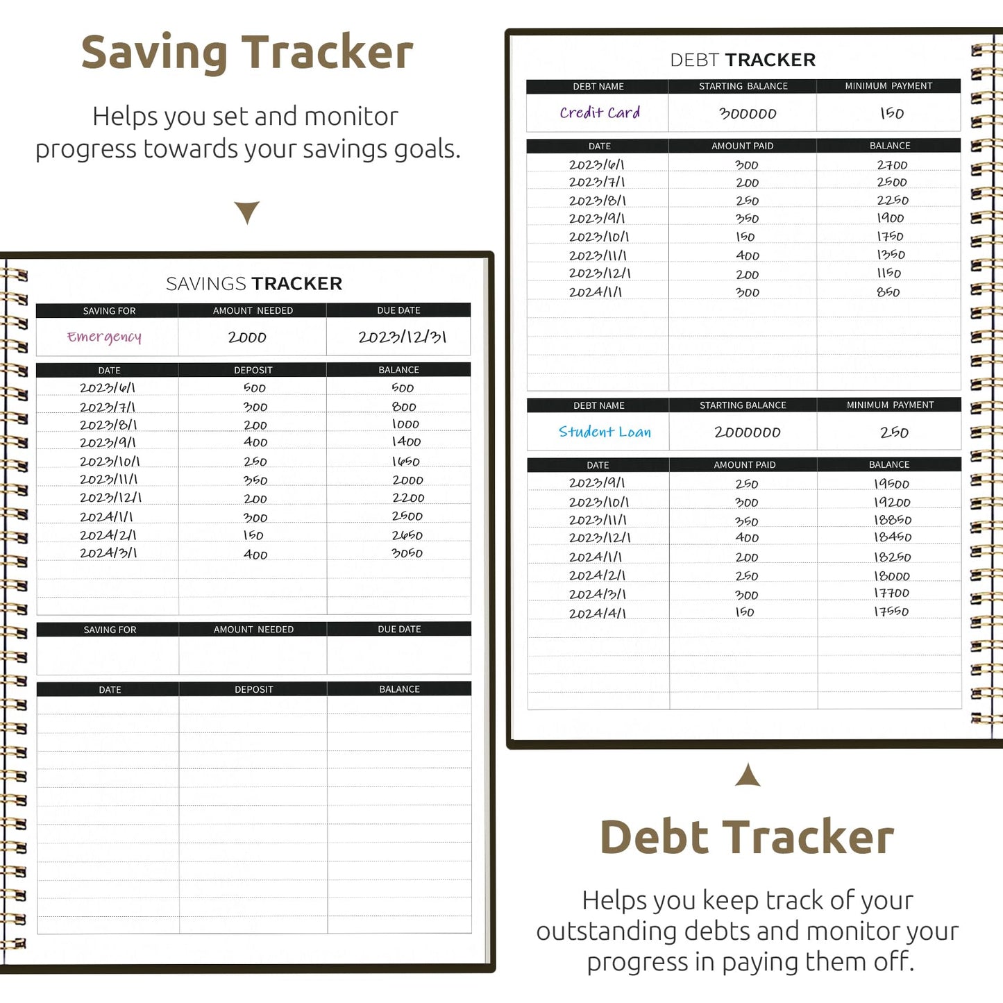 Aesthetic Budget Planner - Monthly Finance Planner with Expense Tracker, Undated Bill Organizer, Budget Notebook to Manage Your Finances, Account Budget Book - Wild Rose