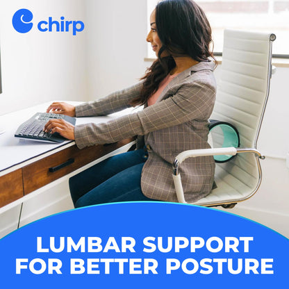 Chirp Wheel Foam Roller – Targeted Back & Neck Relief, Lumbar Spine Stretcher, Spinal Decompression Back Stretcher, Massage Roller with Density Foam for Physical Therapy, Supports 500lbs, 2-Inch Mint