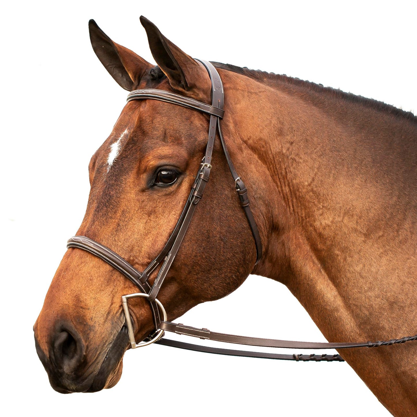 Equinavia Saga Adjustable Padded Fancy Stitched Hunter Bridle with Reins - Chocolate Brown - Pony