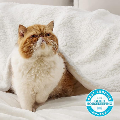 Bedsure GentleSoft Sherpa Fleece Blankets Queen Size for Bed - Thick and Warm, Soft Fuzzy Plush Queen Blanket for Winter, Cream, 90x90 Inches