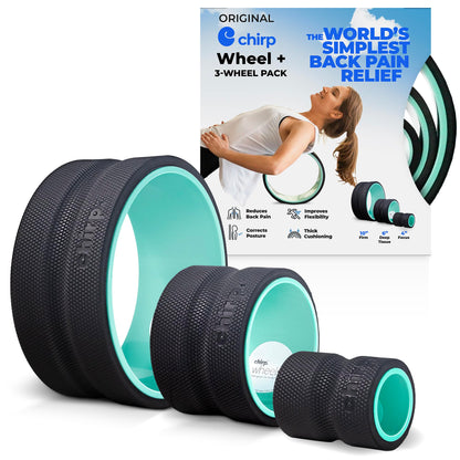 Chirp Wheel Foam Roller – Targeted Back & Neck Relief, Lumbar Spine Stretcher, Spinal Decompression Back Stretcher, Massage Roller with Density Foam for Physical Therapy, Supports 500lbs, 2-Inch Mint