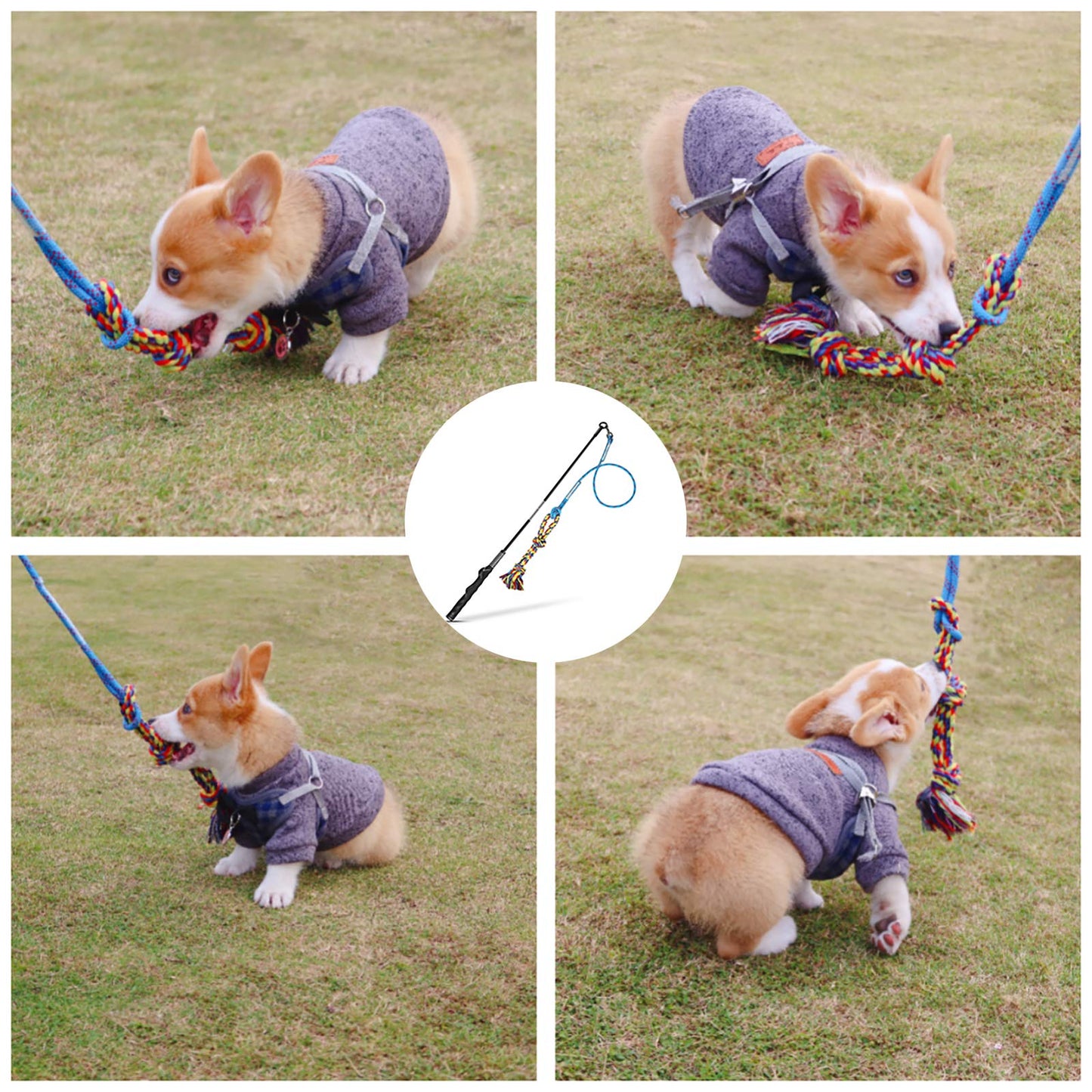 DIBBATU Flirt Pole for Dogs Interactive Dog Toys for Large Medium Small Dogs Chase and Tug of War, Dog Teaser Wand with Lure Chewing Toy for Outdoor Exercise & Training