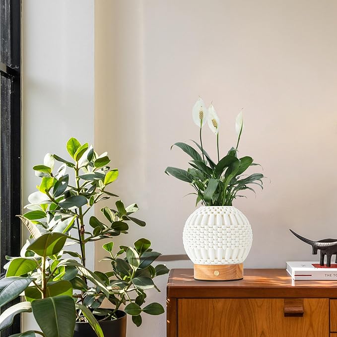 Touch Bedside Table Lamp - 3D Printed Modern Ceramic Lamp for Bedroom, Living Room, Nightstand, Desk, with Wooden Base, 3-Color Dimmable Modes, USB-C Powered (PSL25059)