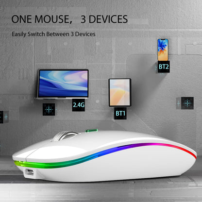 TENMOS Wireless Bluetooth Mouse, LED Slim (Bluetooth 5.1/5.0 + USB) 2.4GHz Rechargeable Silent Bluetooth Wireless Mouse with Type C Adapter for Laptop/MacBook/iPad OS 13 and Above (Matte Black)