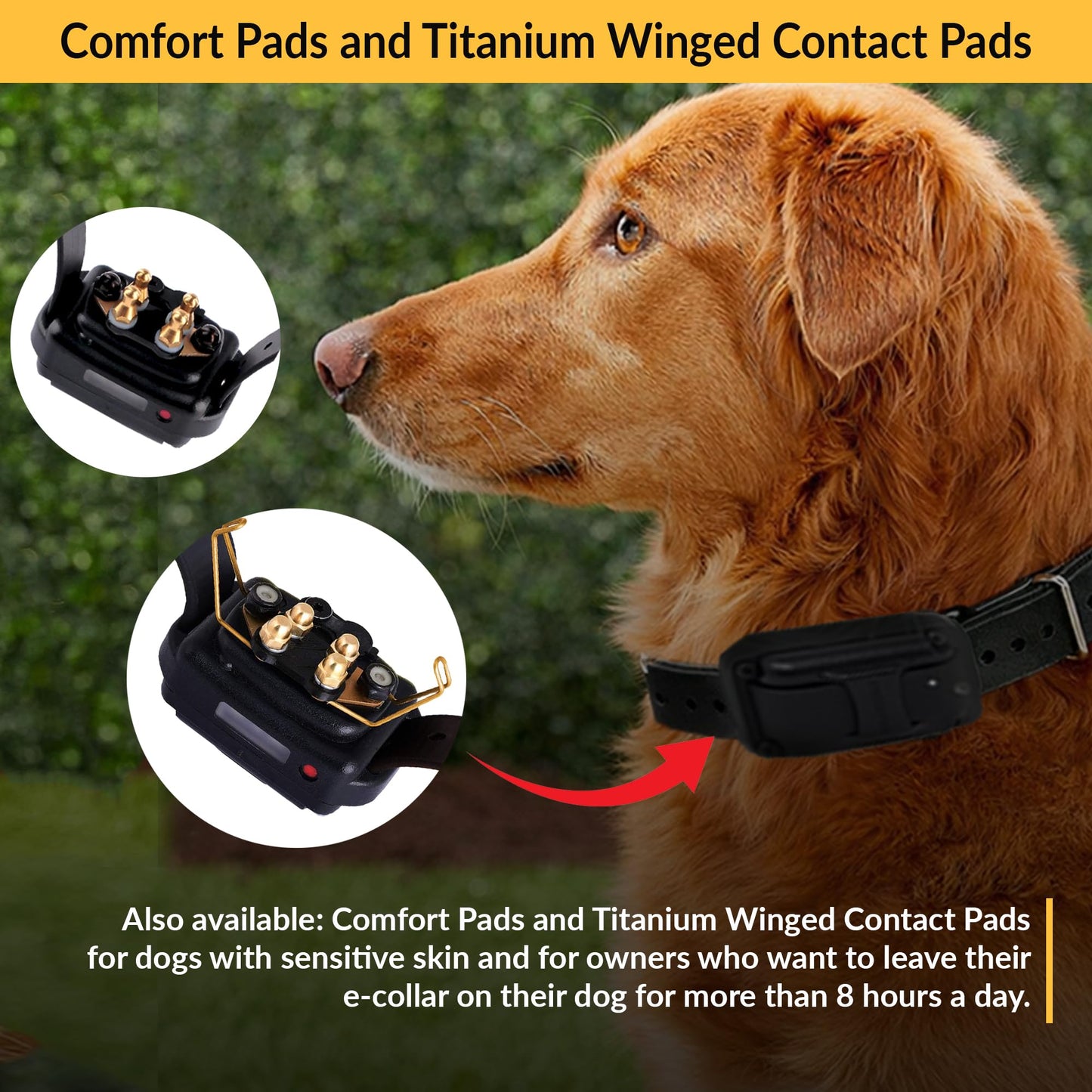 Educator Contact Points Remote Dog Training Collars, Stainless Steel, Long 3/4-Inch