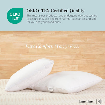 LANE LINEN Throw Pillow Insert - Pack of 2 16x16 Pillow Inserts for Decorative Pillow Covers, Throw Pillows Insert for Couch - White