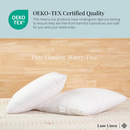 LANE LINEN Throw Pillow Insert - Pack of 2 16x16 Pillow Inserts for Decorative Pillow Covers, Throw Pillows Insert for Couch - White