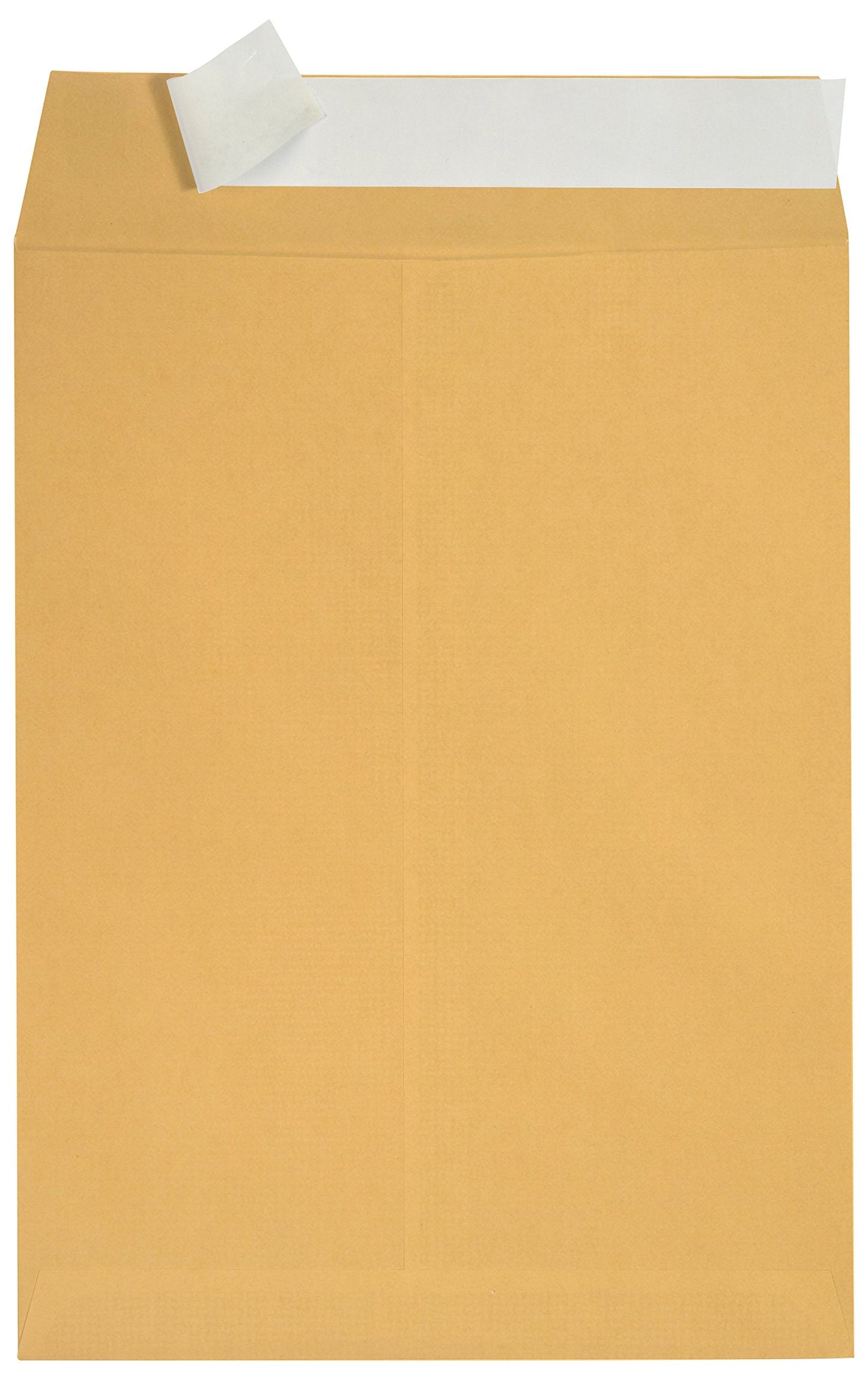 100 6 x 9 Self Seal Golden Brown Kraft Catalog Envelopes - Oversize 6 x 9 Envelope Peel and Seal Flap with 28 Pound Kraft Paper Envelopes - Printer Friendly Design - 100 Count