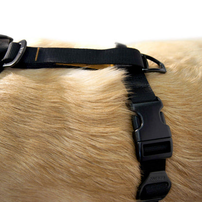 Kurgo Tru-Fit Smart Harness, Dog Harness, Pet Walking Harness, Quick Release Buckles, Front D-Ring for No Pull Training, Includes Dog Seat Belt Tether (Black, Medium)