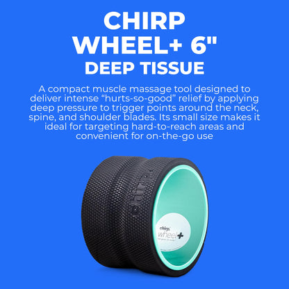 Chirp Wheel Foam Roller – Targeted Back & Neck Relief, Lumbar Spine Stretcher, Spinal Decompression Back Stretcher, Massage Roller with Density Foam for Physical Therapy, Supports 500lbs, 2-Inch Mint