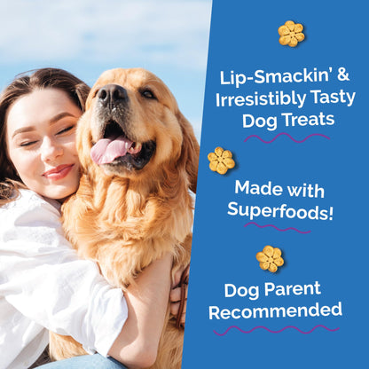 Fruitables Baked Dog Treats, Healthy Pumpkin Treat for Dogs, Low Calorie & Delicious, Free of Wheat, Corn and Soy, Made in The USA, Pumpkin and Blueberry Flavor, 20oz