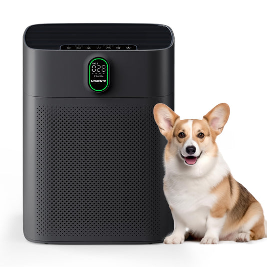 MORENTO Air Purifiers for Home Large Room up to 1076 Sq Ft with PM 2.5 Display Air Quality Sensor for Pet Hair, Double-Sided Air Inlet, 24db, White, 1 Pack + 2 Pack Filters