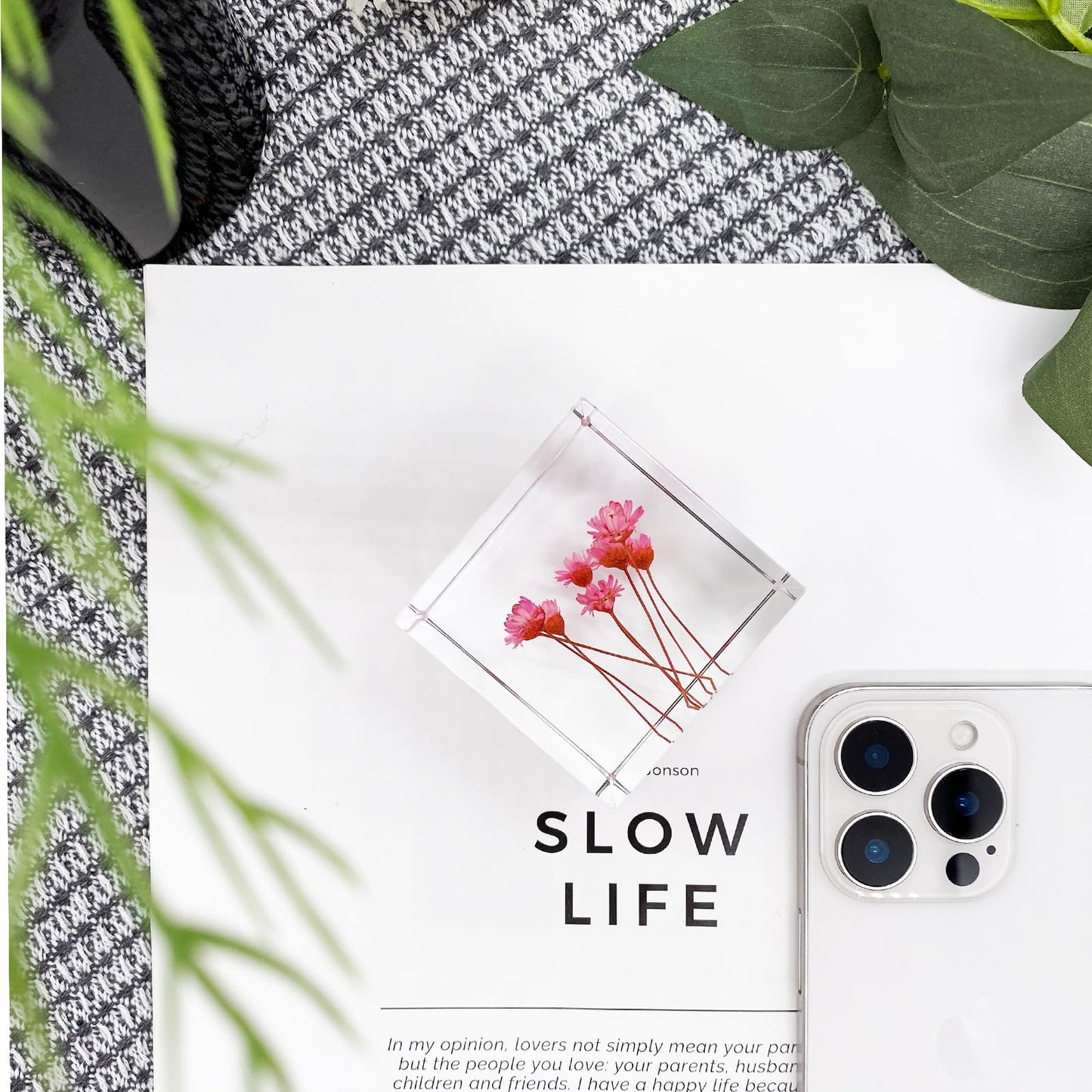 Bon Cube Acrylic Cube Paperweight with Decorative 3D Preserved Flowers, 1.97'' Cube 7.0 oz, Pink Real Starflowers (Resembles Daisy), Aesthetic Desk Shelf Decor and Good Luck Gift for Her