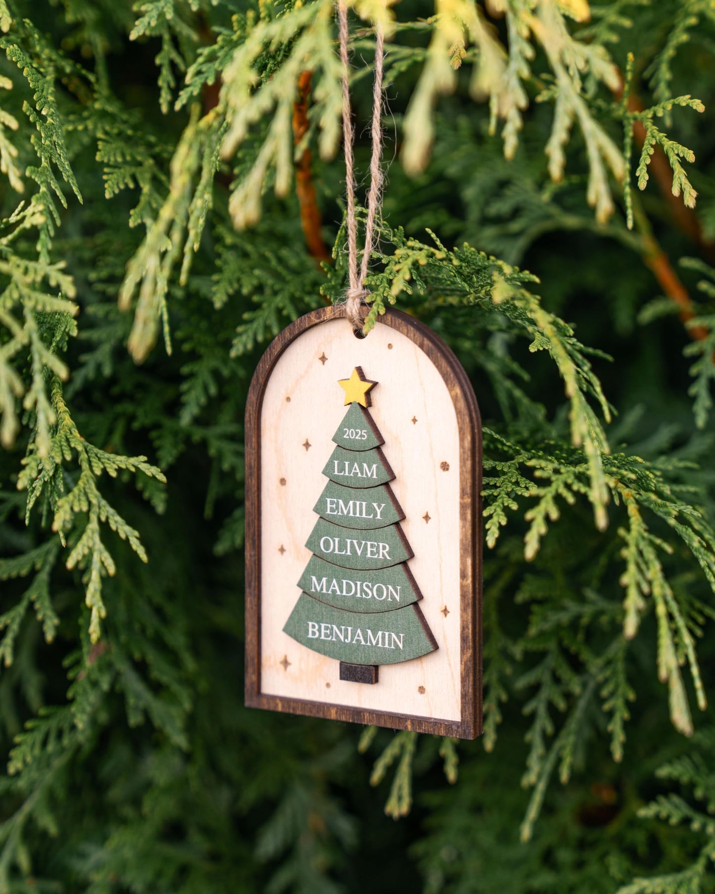 Family Christmas Ornament - 2025 Personalized 3D Ornament with Names
