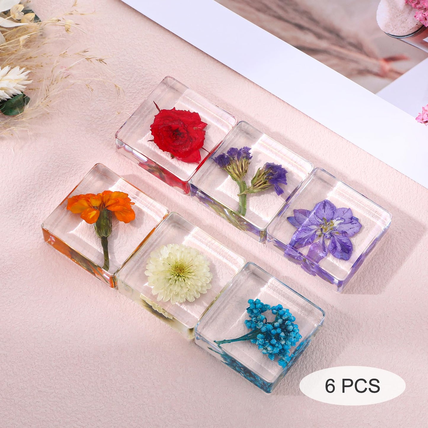 6Pcs Pressed Flower Paper Weights, Real Flower Resin Crafts, Pattern Weights, Paper Weights Decorative,Pressed Flower Ornament,Paper Weights for Office Desk,Specimen Collection for Science Educational