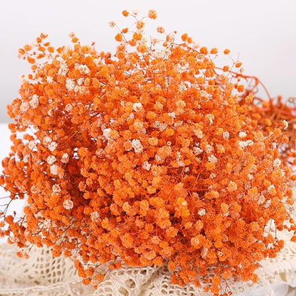Dried Babys Breath Flowers Bouquet-17 Inch 2500+ Ivory Orange Dry Flowers, Natural Gypsophila Branches for Wedding Flowers, Table Vase Decor, DIY Wreath Floral, Home Office Party Garden Decoration