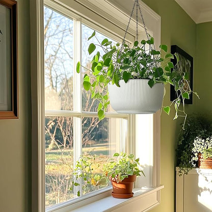 T4U 12 Inch Large Hanging Planters for Outdoor Plants, 2 Pack Self Watering Pots Indoor, Hanging Baskets for Plants,Hanging Flower Pot with Drainage Hole and Plant Hanger, White