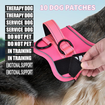 Dog Vest Harness and Leash Set, Animire Reflective Service Dog Vest with 10 Patches, 3 Rings No Choke Pet Vest for Leash Placement, in Training Dog Harness for Small Medium Large Dogs(Hot Pink,XS)
