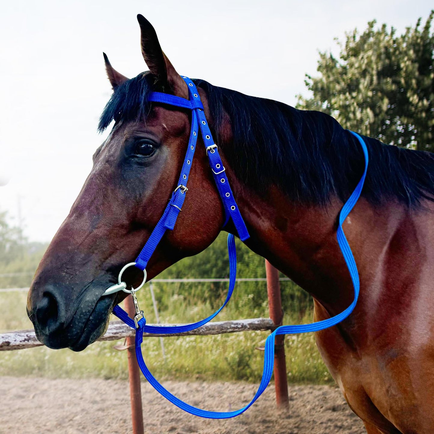 BIGANTTOW Adjustable Horse Bridle with Stainless Steel Bit, Black Nylon Headstall with Reins, Horse Bridles with Bit Non-Slip Design (Blue, L)