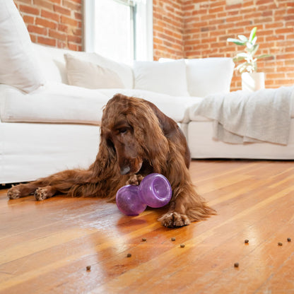 Outward Hound by Planet Dog Double Snoop Interactive Treat Dispensing Dog Toy, Purple