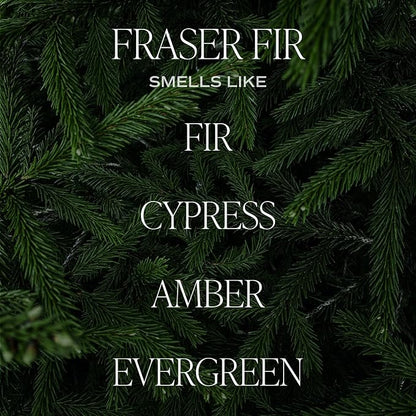 Sweet Water Decor Fraser Fir Candle | Evergreen, Cedar, Balsam, Pine Winter Christmas Tree Scented Soy Candles for Home | 9oz Clear Jar, 40 Hour Burn Time, Made in The USA