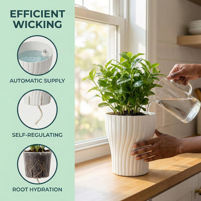 zvsgwj Self-Watering Plant Pots with Wick, Rotating Pattern Planters with Drainage & Inner Pot for Desk Living Room Bedroom Home Decor, 6.3 Inch 2-Pack in White & Clear