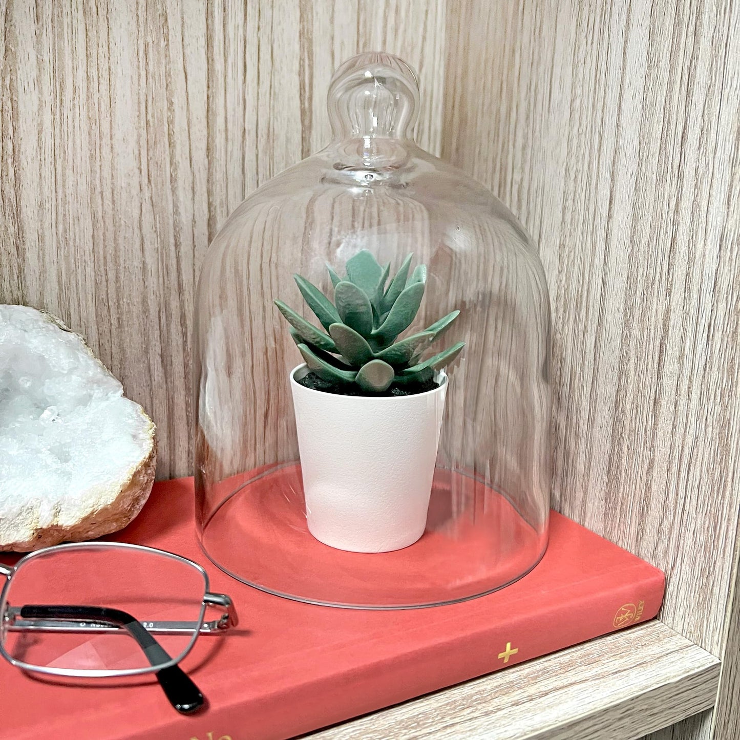 Plymor 5" x 6" Bell Jar Glass Display Dome Cloche (Interior Size 4.75" x 4.5")