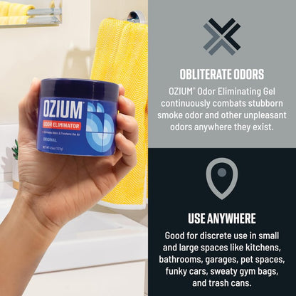 Ozium Odor Eliminating Gel - 4.5oz Air Freshener Alternative for Smoke, Pets, and Musty Odors - Long Lasting Odor Remover for Cars, Homes, Closets and Small Spaces - Carbon Black