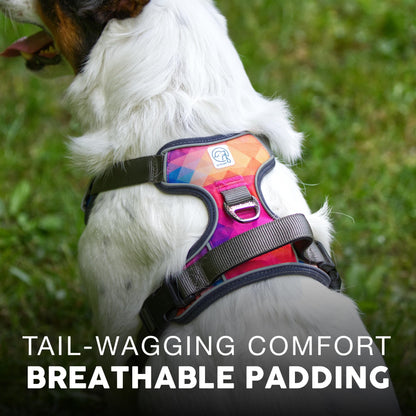 Embark Adventure Dog Harness, Reflective Trim No Pull Harness for Medium Sized Dog - Military Grade Nylon, Front Clip with Gel Lined Handle. Soft & Padded Puppy