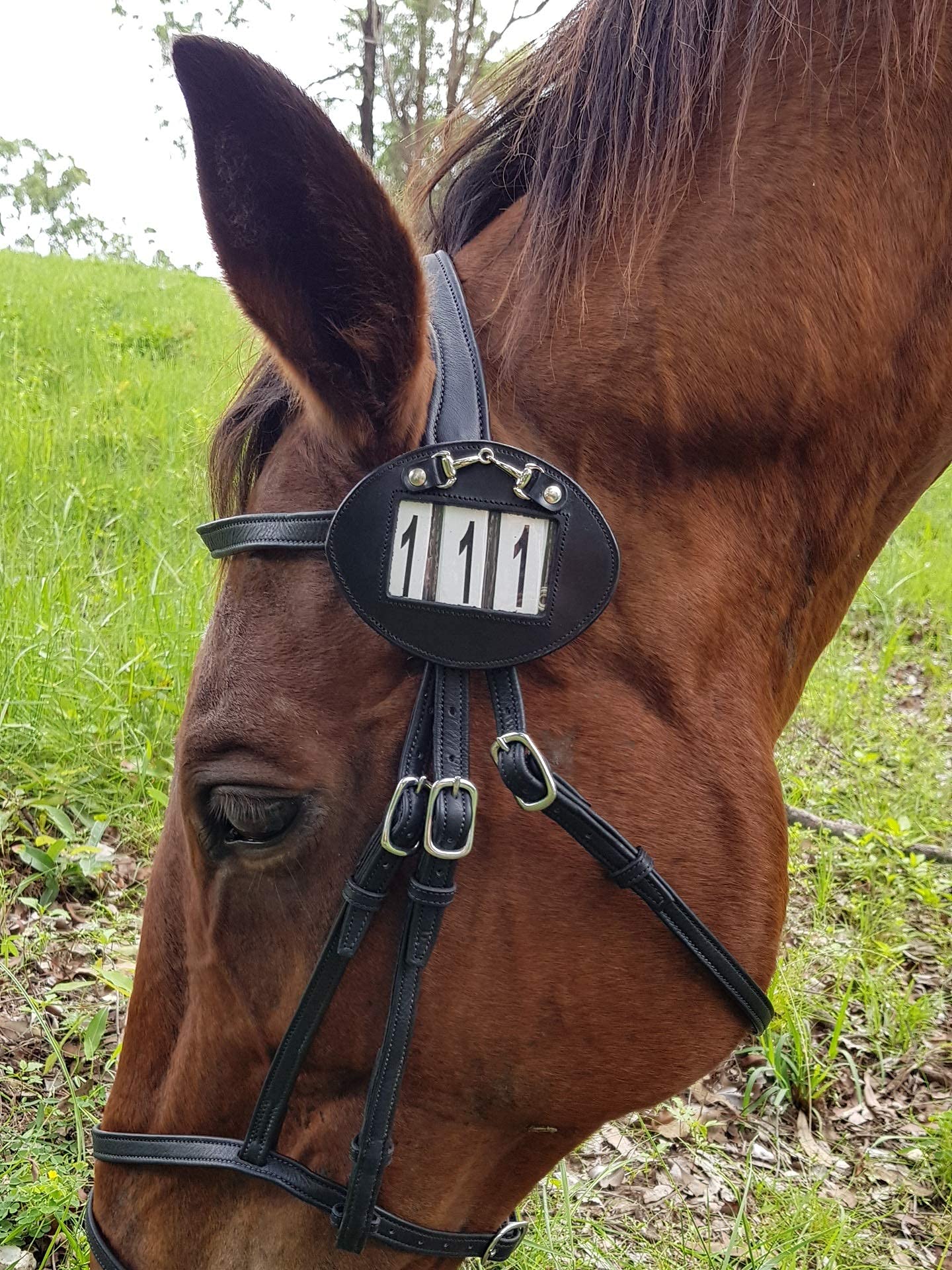 Echo Beach Equestrian Genuine Leather Number Holder Pair for Bridle or Saddle Pad. Oval with 3 Digit Easy Change Numbers. Built in Clip for Secure Attachment. 2 Number Holders Included