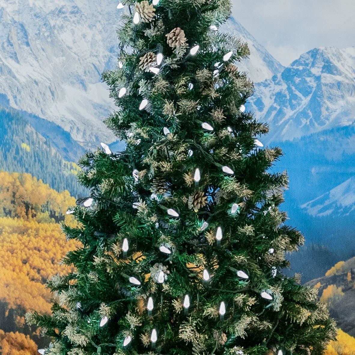 Novelty Lights 24FT 70 LED C6 Christmas String Lights, Outdoor Commercial Grade Tree Decorations, Permanent LED Lights (Pure White)