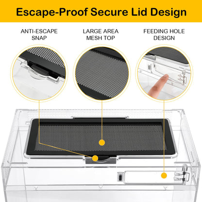HELIME Reptile Polycarbonate Terrarium Kit 7 Piece Starter Habitat for Tarantula,Lizards,Frogs,Geckos,or Hermit Crabs,Tank with Escape-Proof Locking Lid,Light,Hygrometer,Hide,Tweezer,Bowl,Sprayer