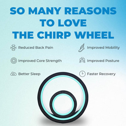 Chirp Wheel Foam Roller – Targeted Back & Neck Relief, Lumbar Spine Stretcher, Spinal Decompression Back Stretcher, Massage Roller with Density Foam for Physical Therapy, Supports 500lbs, 2-Inch Mint