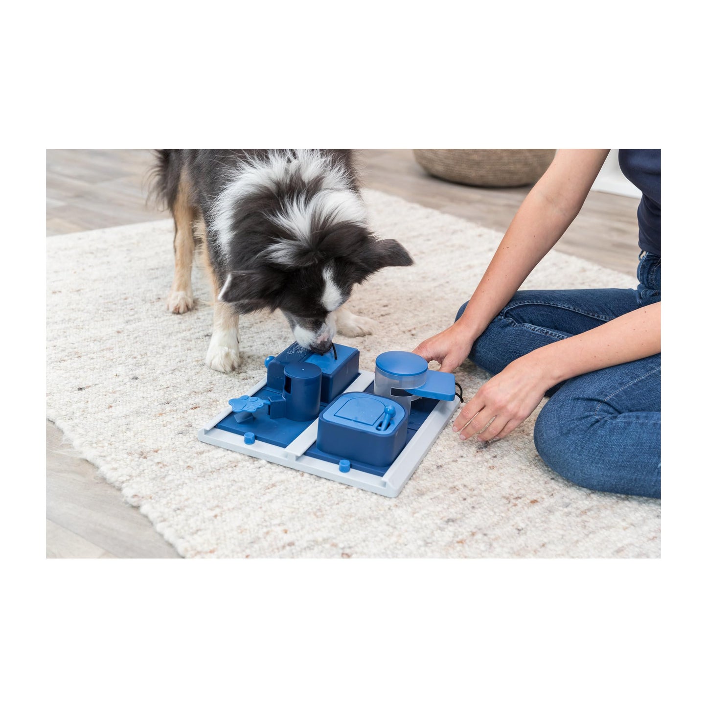 TRIXIE Poker Box 2 Dog Enrichment Toy, Advanced Level 3 Dog Puzzle, Interactive Treat Game