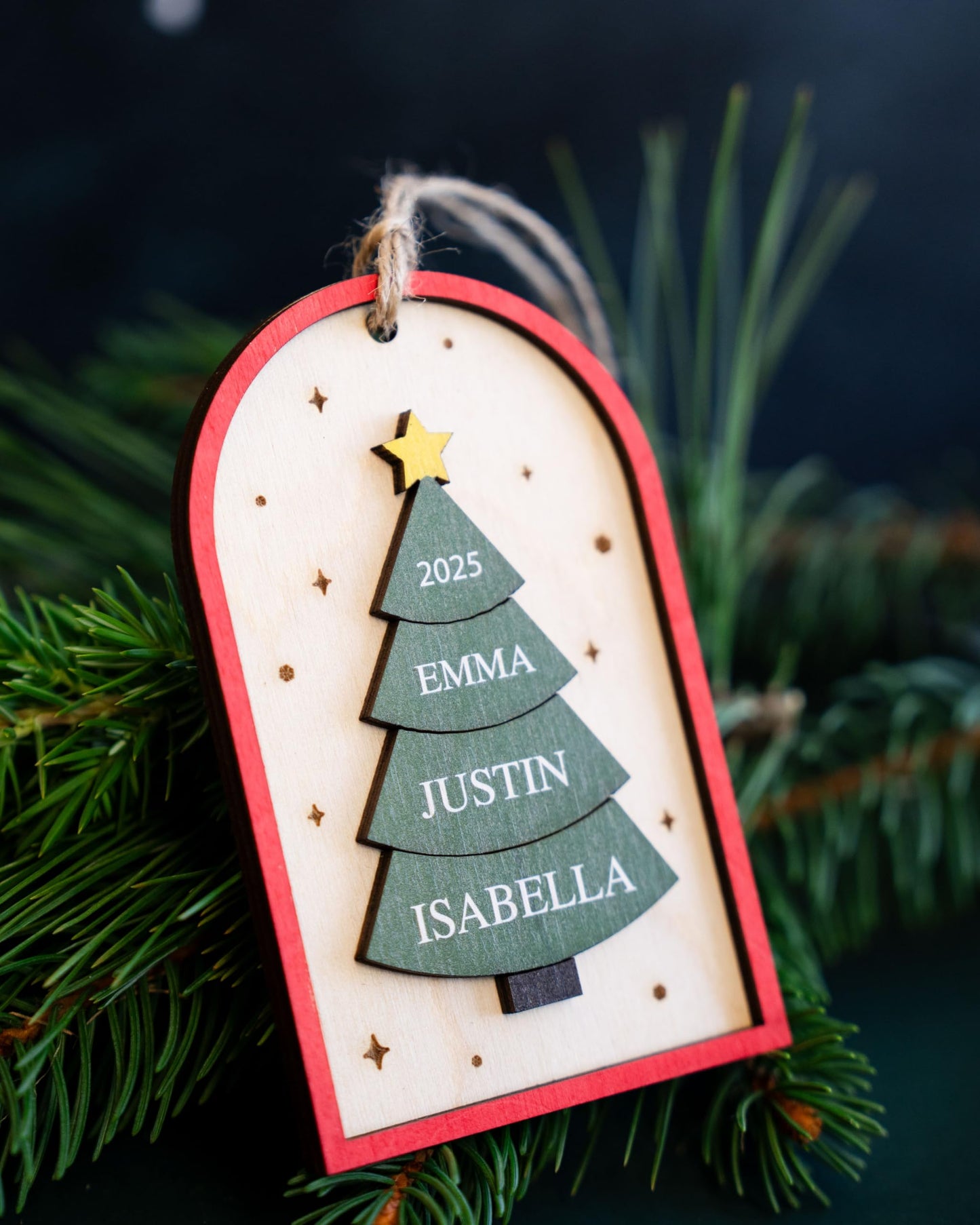 Family Christmas Ornament - 2025 Personalized 3D Ornament with Names