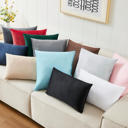 LANE LINEN Throw Pillow Insert - Pack of 2 16x16 Pillow Inserts for Decorative Pillow Covers, Throw Pillows Insert for Couch - White