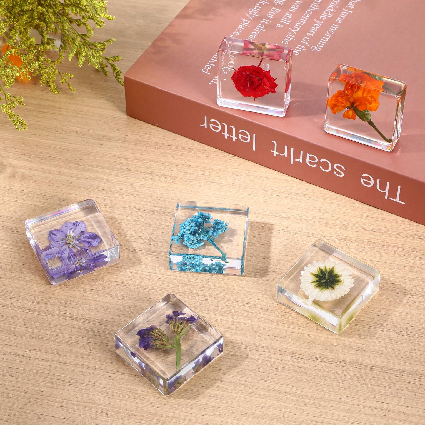 6Pcs Pressed Flower Paper Weights, Real Flower Resin Crafts, Pattern Weights, Paper Weights Decorative,Pressed Flower Ornament,Paper Weights for Office Desk,Specimen Collection for Science Educational