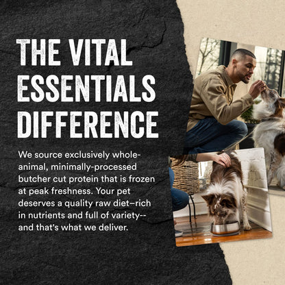 Vital Essentials Beef Liver Dog Treats, 2.1 oz | Freeze-Dried Raw | Single Ingredient | Premium Quality High Protein Training Treats | Grain Free, Gluten Free, Filler Free