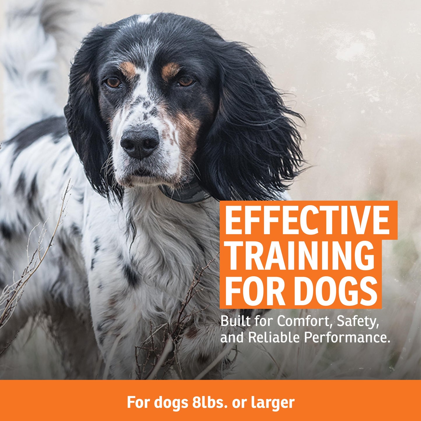 SportDOG FieldTrainer 425XS - Remote Trainer Designed for Off-Leash Control & Training - for Stubborn Dogs - 500-Yard Range - Waterproof - Quick-Charge Collar - Static, Tone, & Vibration