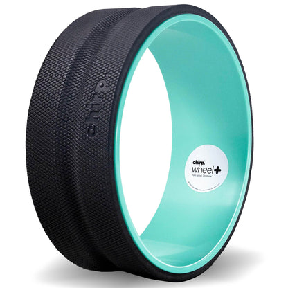 Chirp Wheel Foam Roller – Targeted Back & Neck Relief, Lumbar Spine Stretcher, Spinal Decompression Back Stretcher, Massage Roller with Density Foam for Physical Therapy, Supports 500lbs, 2-Inch Mint