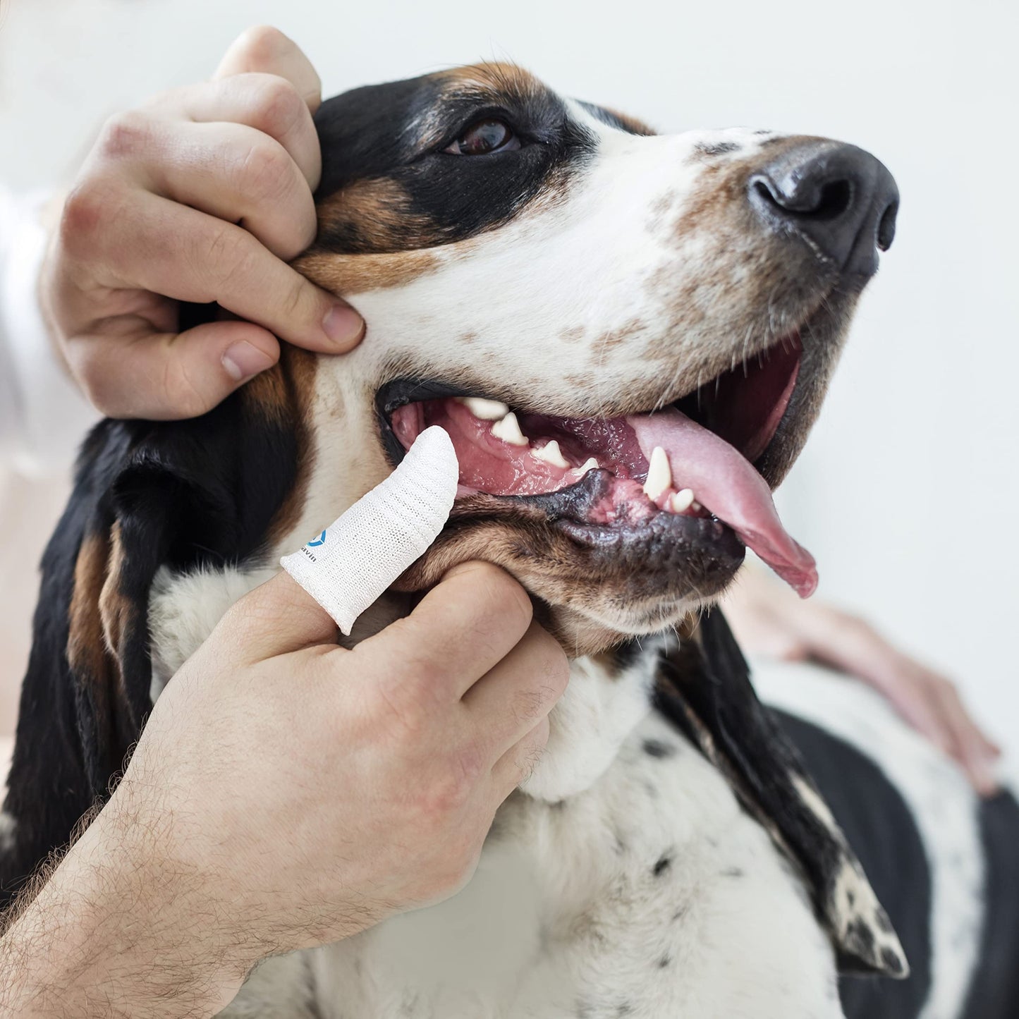MoiiLavin Pet Toothbrush for Small to Large Dogs Cats,Soft High Grade Finger Toothbrush,Teeth Oral Cleaning,Dental Care, 1 Set for Two Fingers White (6)