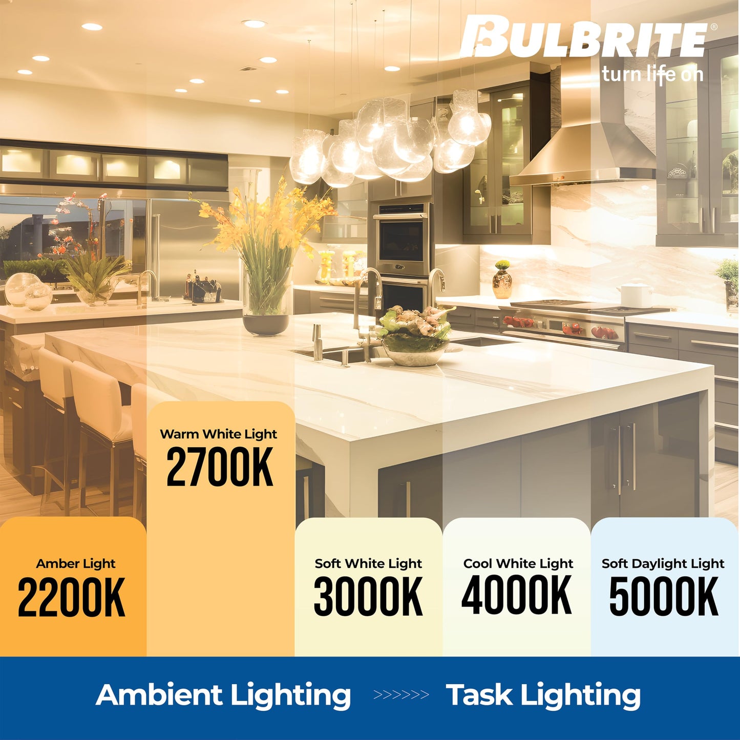 Bulbrite 705140 Light Bulb, 1 Count (Pack of 1), Clear
