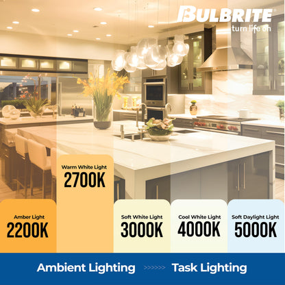 Bulbrite 705140 Light Bulb, 1 Count (Pack of 1), Clear